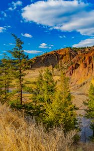 Preview wallpaper rocks, canyon, trees, landscape