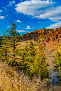 Preview wallpaper rocks, canyon, trees, landscape