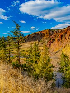 Preview wallpaper rocks, canyon, trees, landscape