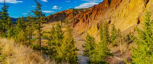 Preview wallpaper rocks, canyon, trees, landscape