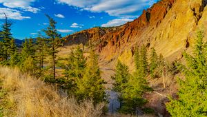 Preview wallpaper rocks, canyon, trees, landscape