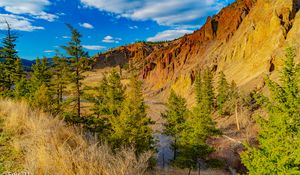 Preview wallpaper rocks, canyon, trees, landscape