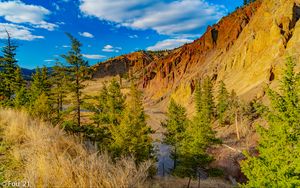 Preview wallpaper rocks, canyon, trees, landscape