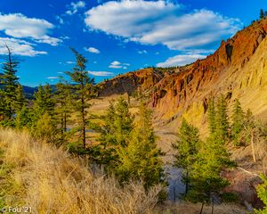 Preview wallpaper rocks, canyon, trees, landscape