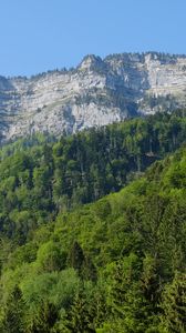 Preview wallpaper rocks, cliff, forest, trees, landscape