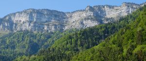 Preview wallpaper rocks, cliff, forest, trees, landscape