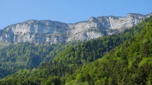 Preview wallpaper rocks, cliff, forest, trees, landscape