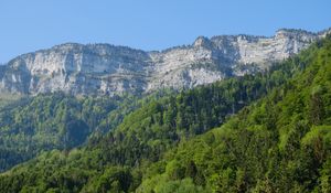 Preview wallpaper rocks, cliff, forest, trees, landscape
