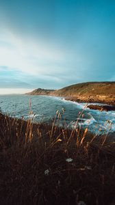 Preview wallpaper rocks, cliff, sea, grass, coast