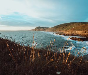 Preview wallpaper rocks, cliff, sea, grass, coast