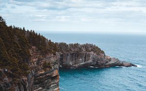 Preview wallpaper rocks, cliff, surf, branches