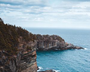 Preview wallpaper rocks, cliff, surf, branches