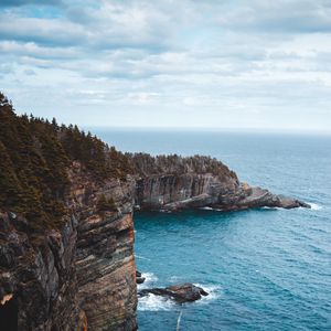 Preview wallpaper rocks, cliff, surf, branches