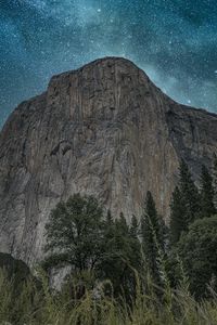 Preview wallpaper rocks, cliff, trees, ears, night