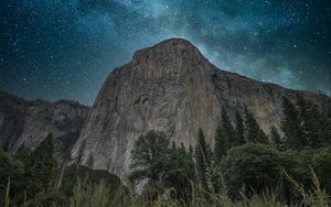 Preview wallpaper rocks, cliff, trees, ears, night