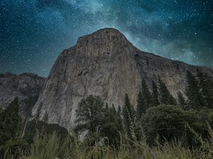 Preview wallpaper rocks, cliff, trees, ears, night