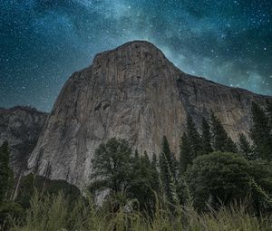 Preview wallpaper rocks, cliff, trees, ears, night
