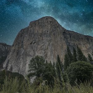 Preview wallpaper rocks, cliff, trees, ears, night