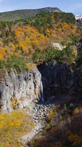 Preview wallpaper rocks, cliff, trees, nature