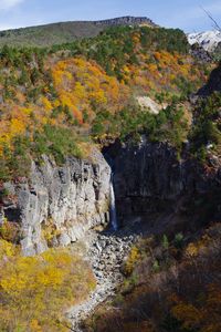 Preview wallpaper rocks, cliff, trees, nature