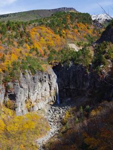 Preview wallpaper rocks, cliff, trees, nature