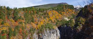 Preview wallpaper rocks, cliff, trees, nature