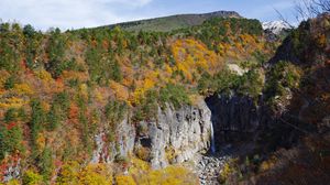 Preview wallpaper rocks, cliff, trees, nature