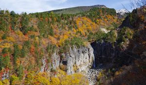 Preview wallpaper rocks, cliff, trees, nature