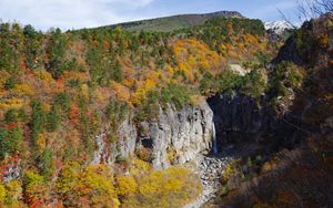 Preview wallpaper rocks, cliff, trees, nature