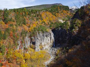 Preview wallpaper rocks, cliff, trees, nature