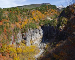 Preview wallpaper rocks, cliff, trees, nature