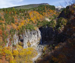 Preview wallpaper rocks, cliff, trees, nature