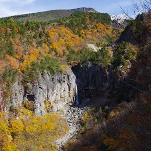 Preview wallpaper rocks, cliff, trees, nature