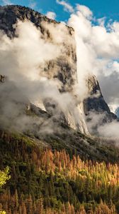 Preview wallpaper rocks, clouds, trees, spruce