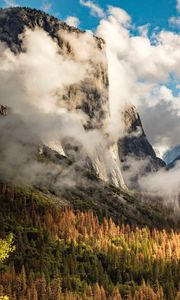 Preview wallpaper rocks, clouds, trees, spruce