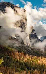 Preview wallpaper rocks, clouds, trees, spruce