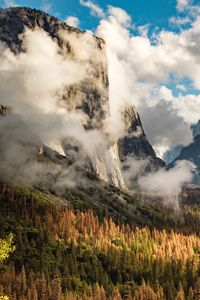 Preview wallpaper rocks, clouds, trees, spruce