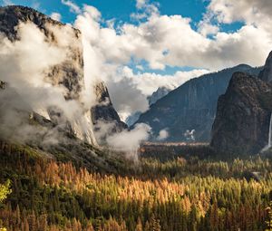 Preview wallpaper rocks, clouds, trees, spruce