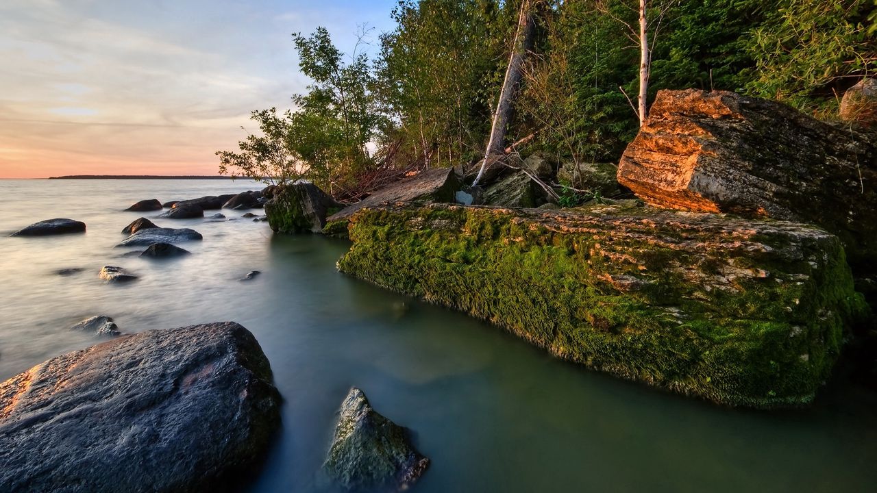 Wallpaper rocks, coast, moss, water, trees