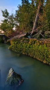 Preview wallpaper rocks, coast, moss, water, trees