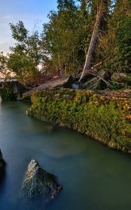 Preview wallpaper rocks, coast, moss, water, trees