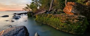 Preview wallpaper rocks, coast, moss, water, trees