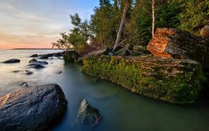 Preview wallpaper rocks, coast, moss, water, trees