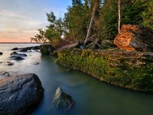 Preview wallpaper rocks, coast, moss, water, trees