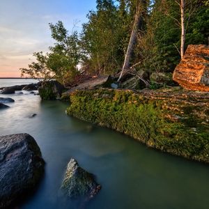 Preview wallpaper rocks, coast, moss, water, trees