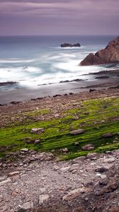 Preview wallpaper rocks, coast, ocean, cloudy, grass, greens