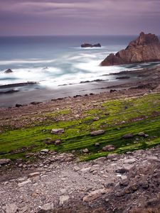 Preview wallpaper rocks, coast, ocean, cloudy, grass, greens