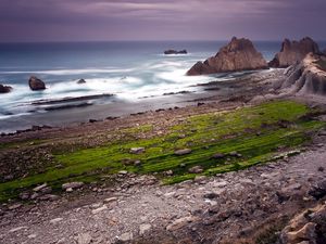 Preview wallpaper rocks, coast, ocean, cloudy, grass, greens