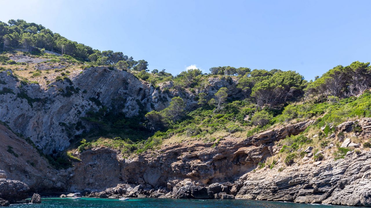 Wallpaper rocks, coast, sea, trees