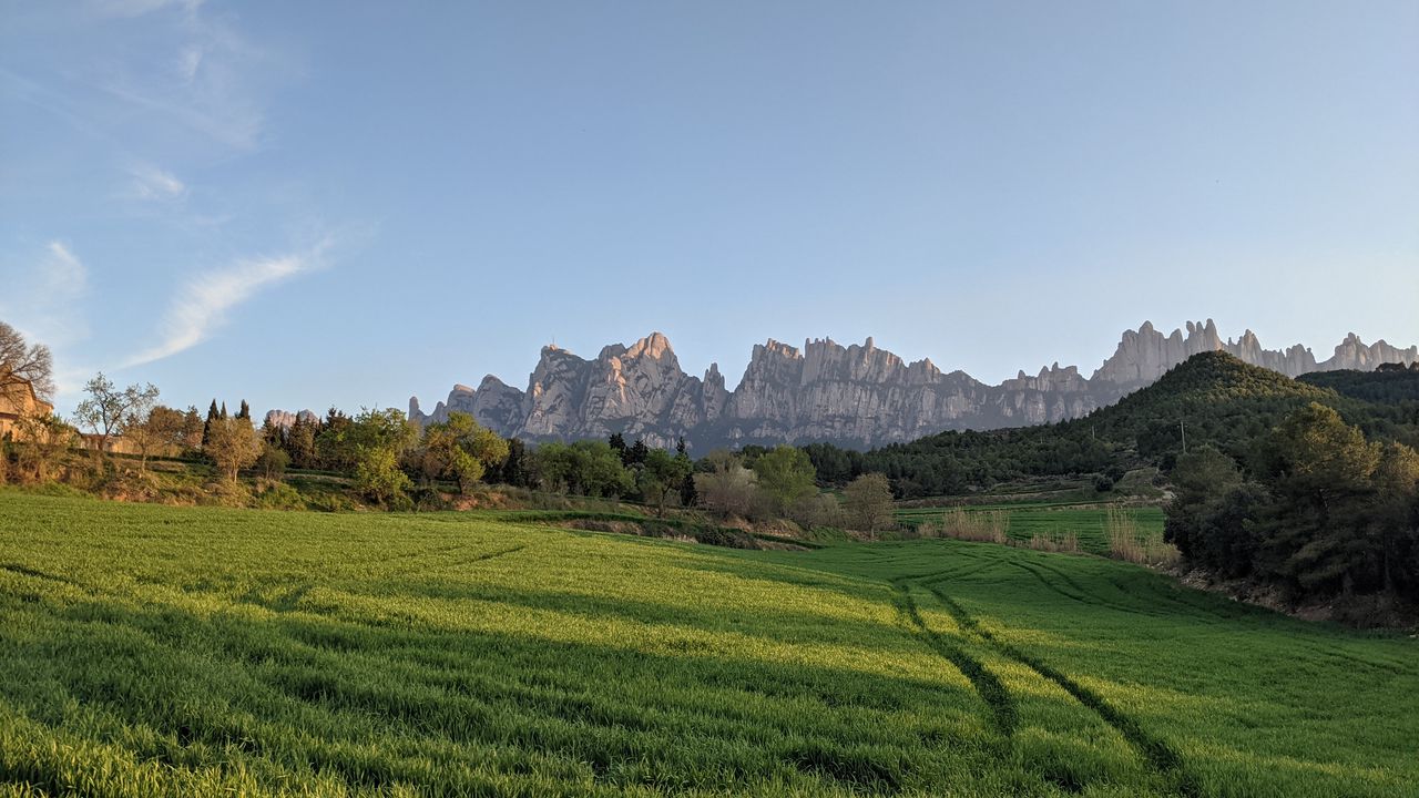 Wallpaper rocks, field, grass, trees, landscape